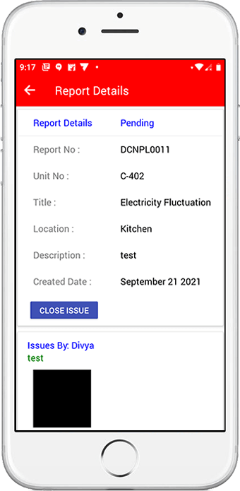 Report Details